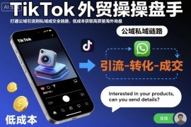 TikTok外贸操盘手，打通公域引流到私域成交全链路，低成本获取高质量海外询盘