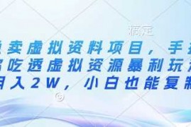 简单项目闲鱼卖虚拟资料项目，手把手带你吃透虚拟资源暴利玩法，月入2W，小白也能复制03-09冒泡网