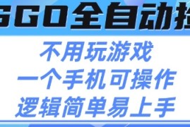 CSGO自动捡漏项目，最新独家玩法，不用挂G不用玩游戏，一个手机即可操作，新手小白轻松月入1W+【揭秘】