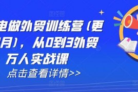 2024最新AI闪电做外贸训练营(更新25年1月)，从0到3外贸万人实战课01-20冒泡网