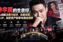 （20290期）某星球精华文章——孙宇晨的生意经，深入拆解注意力经济、流量经营、个人IP、加密资产叙事与商业闭环