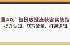 简单项目巨量AD广告投放投流获客实战指南，提升认知、获取流量、打通逻辑01-02福缘网