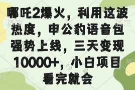 最新项目（14223期）哪吒2爆火，利用这波热度，申公豹语音包强势上线，三天变现10000+，小&#8230;02-18中创网