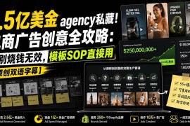 （20170期）2.5亿美金agency私藏！电商广告创意全攻略：告别烧钱无效，模板SOP直接用【原创双语字幕】