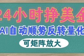 AI自动顺势反转量化，24小时挣美金，每天见收益，可矩阵放大！