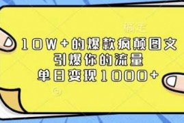 2024最新10W+的爆款疯颠图文，引爆你的流量，单日变现1k【揭秘】12-26冒泡网