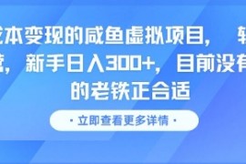 零成本变现的咸鱼虚拟项目， 轻资产运营，新手日入3张+，目前没有项目的老铁正合适