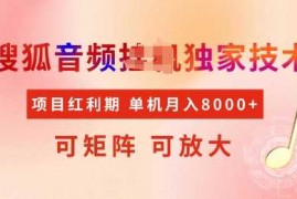 手机创业全网首发搜狐音频挂JI独家技术，项目红利期，可矩阵可放大，稳定月入8k【揭秘】02-11冒泡网