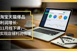 （16824期）淘宝天猫爆品利润增长-11月线下课，免费流量、付费放大、费比管控，实现店铺利润倍增