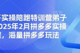 每日拼多多实操陪跑特训营弟子班，2025年2月拼多多实操课程，海量拼多多玩法03-05冒泡网