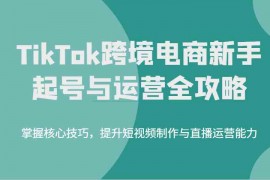 创业项目TikTok跨境电商新手起号与运营全攻略，掌握核心技巧，提升短视频制作与直播运营能力03-11福缘网