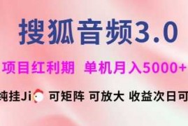 简单项目搜狐音频挂ji3.0.可矩阵可放大，独家技术，稳定月入5000+【揭秘】03-09冒泡网