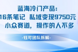 蓝海项目：16条笔记私域变现9750米小众赛道操作的人不多
