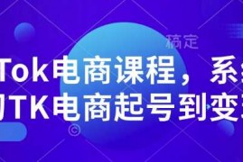 2024最新TikTok电商课程，​系统学习TK电商起号到变现01-08冒泡网