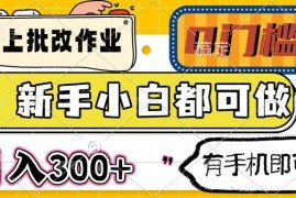 简单项目（14556期）线上批改作业0门槛新手小白都可做日入300+有手机即可03-17中创网