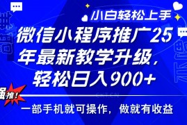 2025最新（14084期）2025年微信小程序推广，最新教学升级，轻松日入900+，小白宝妈轻松上手…02-05中创网