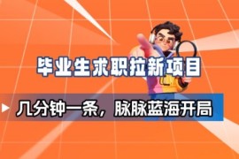 毕业生求职项目拆解_脉脉拉新空白市场，蓝海开局
