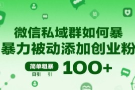 微信私域群如何暴力被动添加创业粉，简单粗暴，日引100+
