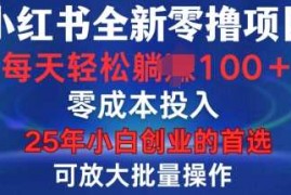 实战小红书全新纯零撸项目，只要有号就能玩，可放大批量操作，轻松日入100+【揭秘】01-10冒泡网