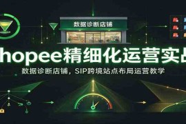 Shopee精细化运营实战：数据诊断店铺，SIP跨境站点布局运营教学【进阶】