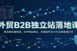 外贸B2B独立站落地课：域名服务器搭建，WP网站建设，页面制作SEO与谷歌数据分析