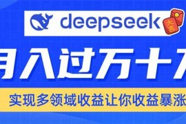 赚钱项目（14140期）用DeepSeek席卷各大平台，快速上手实现多领域，让你收入猛增02-11中创网