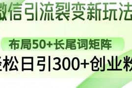 手机项目（14451期）微信引流裂变新玩法：布局50+长尾词矩阵，轻松日引300+创业粉03-07中创网