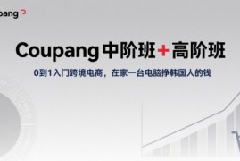 Coupang中阶班+高阶班，0到1入门跨境电商，在家一台电脑挣韩国人的钱