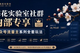 梅花实验室社群内部专享-公众号流量主系列全套玩法