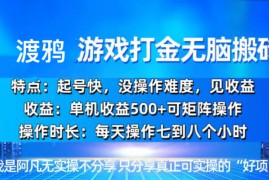 最新项目（13501期）韩国知名游戏打金无脑搬砖单机收益500+11-29中创网