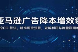 亚马逊广告降本增效课：深挖CO 算法，精准调控预算，破解利润与流量瓶颈难题