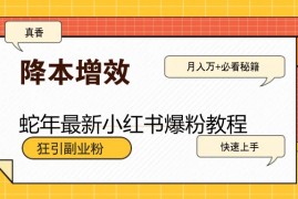 简单项目蛇年最新小红书爆粉教程，狂引副业粉，月入万+必看01-26福缘网