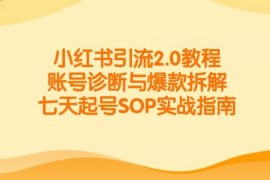 小红书引流2.0教程，账号诊断与爆款拆解，七天起号SOP实战指南