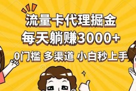 手机创业（14348期）流量卡代理掘金，0门槛，每天躺赚3000+，多种推广渠道，新手小白轻松上手02-27中创网