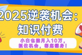 手机项目（14166期）2025逆袭项目——知识付费，小白也能月入10万年入百万，抓住机会彻底翻&#8230;02-13中创网