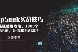 手机创业（14147期）DeepSeek实战技巧：集合最强使用攻略，1000个神级提示词，让你成为AI高手02-11中创网