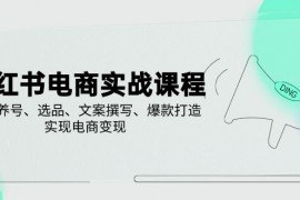 2025最新（14549期）小红书电商实战课程，详解养号、选品、文案撰写、爆款打造，实现电商变现03-16中创网