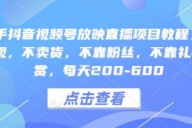 热门项目快手抖音视频号放映直播项目教程，不违规，不卖货，不靠粉丝，不靠礼物打赏，每天200-60012-28冒泡网