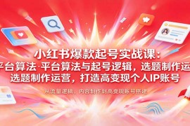 小红书爆款起号实战课：平台算法与起号逻辑，选题制作运营，打造高变现个人IP账号