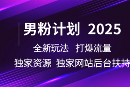 实战男粉计划2025全新玩法打爆流量独立网站独立资源后台扶持03-05福缘网