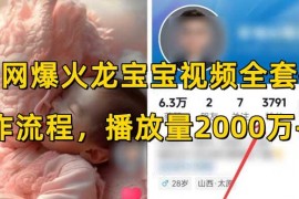 热门项目全网爆火龙宝宝视频全套操作流程，播放量2000万+12-23冒泡网