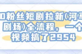 简单项目0粉丝短剧拉新(河马剧场)全流程，一个视频搞了295402-01冒泡网