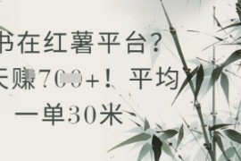 抄书在小红薯平台？平均一单30米，一天收益几张！