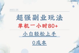 实战（13907期）超强副业玩法，单机一小时80+，小白轻松上手，0成本01-04中创网