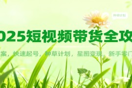 2025短视频带货全攻略：爆款文案，快速起号，种草计划，星图变现，新手零门槛上手