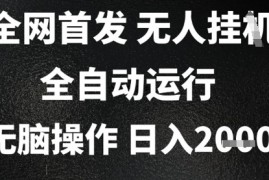 2025首发无人挂G项目，日入2k+，全自动运行，无脑操作，长期稳定 小白可玩【揭秘】