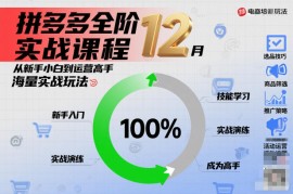 拼多多全阶实战课程12月，从新手小白到运营高手，海量实战玩法