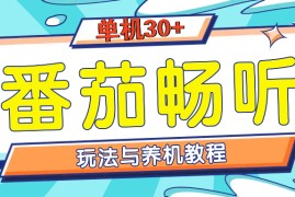 2024最新（13571期）番茄畅听全方位教程与玩法：一天单设备日入30+不是问题12-06中创网