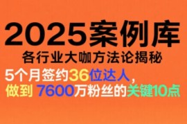 2025案例库，收录各行业大咖的方法论，各行业大咖方法论揭秘