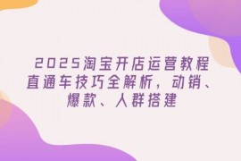 最新项目（14389期）2025淘宝开店运营教程更新，直通车技巧全解析，动销、爆款、人群搭建03-03中创网